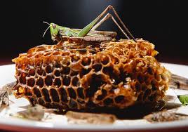 The Prophet of Locusts and Honey