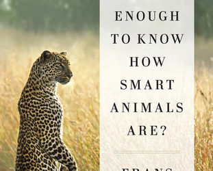 Are We Smart Enough to Know How Smart Animals Are?