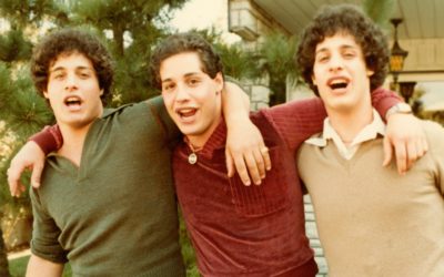 Three Identical Strangers