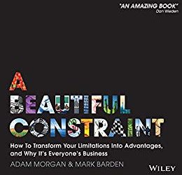 A Beautiful Constraint –Review by Vern Hyndman